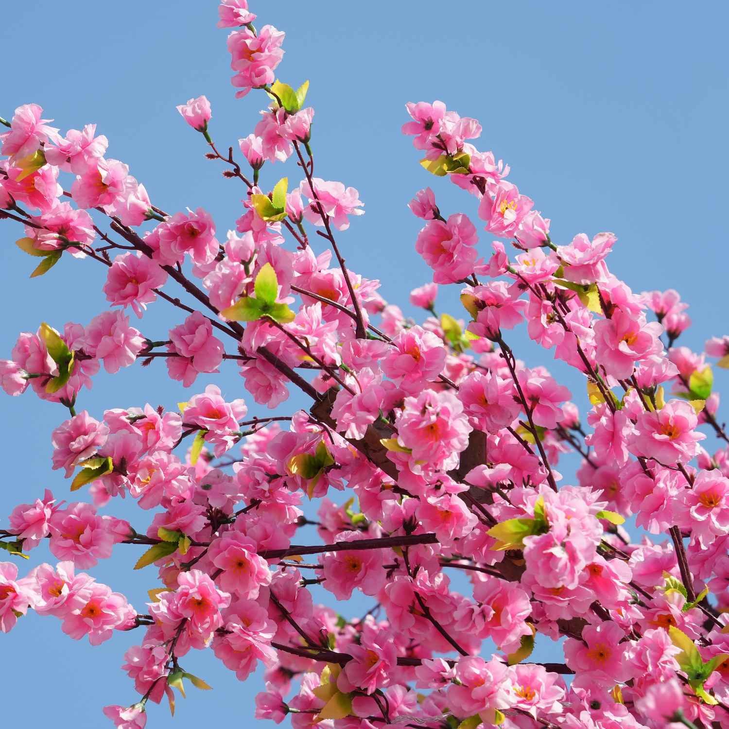 Oakco Artificial Peach blossom Trees