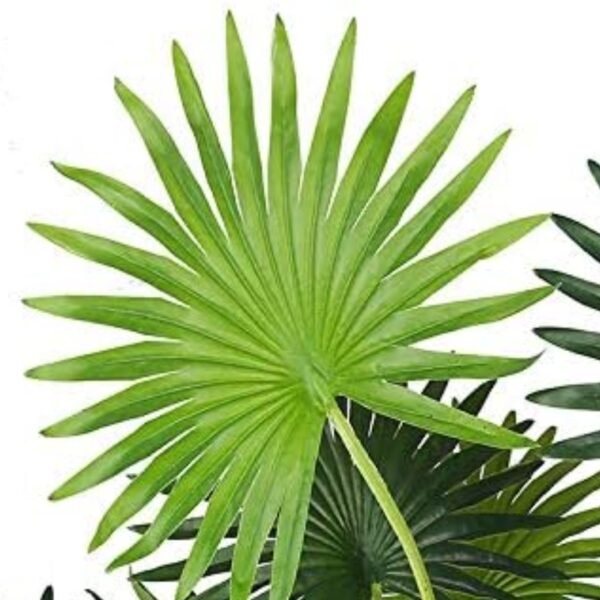 Fan Palm Artificial