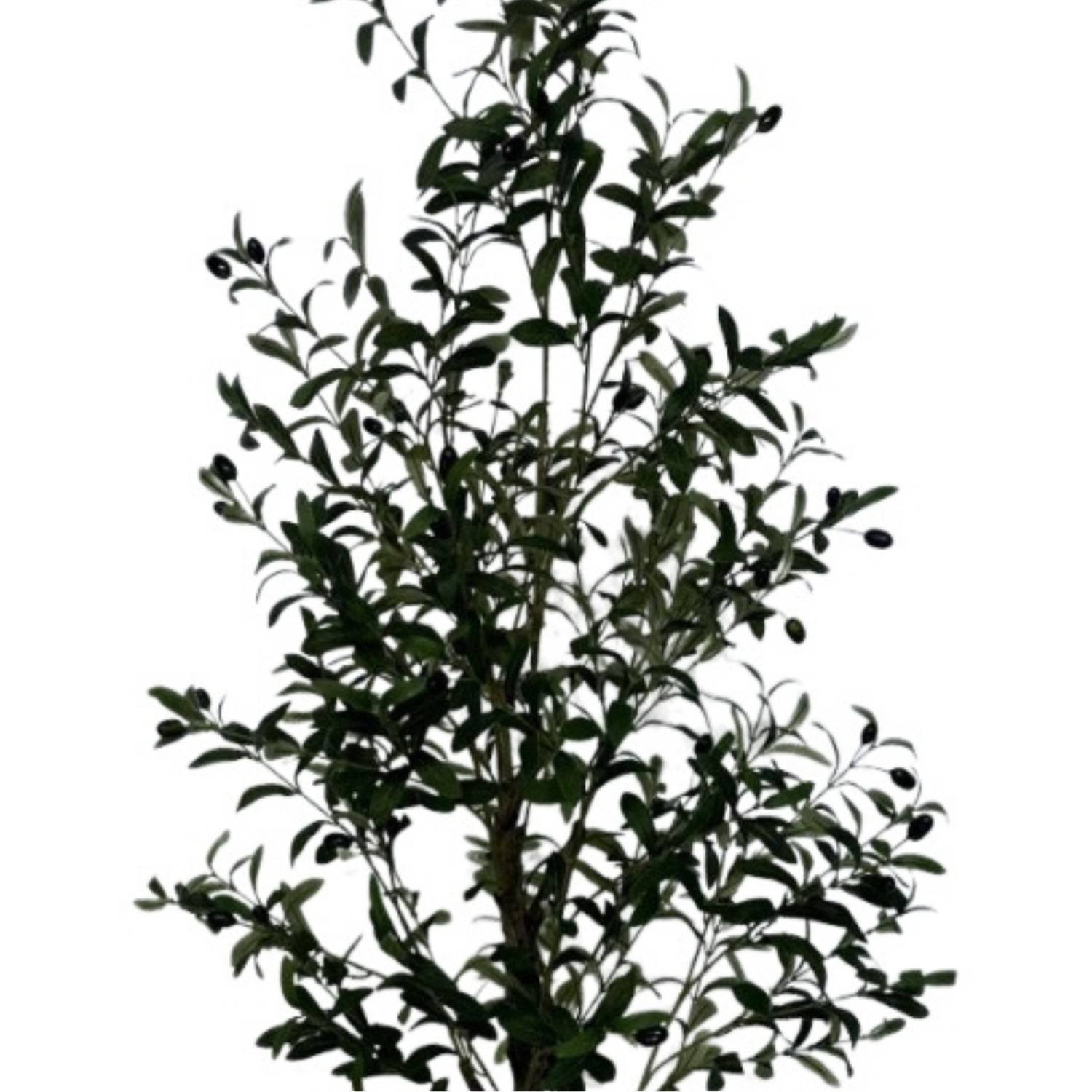 Faux Olive Leaf Trees