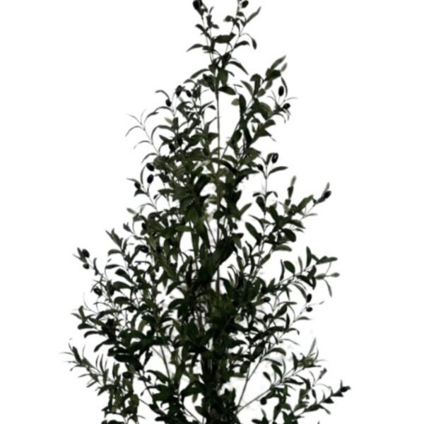 Faux Olive Tree Decor