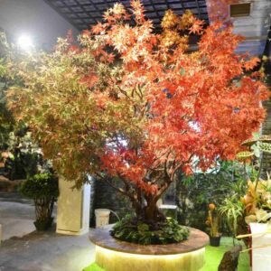 Large Artificial Maple Tree