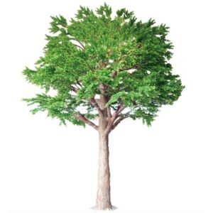 Oakco Artificial Outdoor Pine Trees