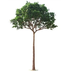 Oakco Outdoor Faux Pine Tree