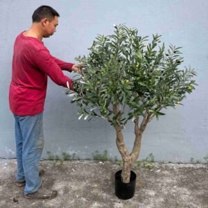 Potted Faux Olive Tree