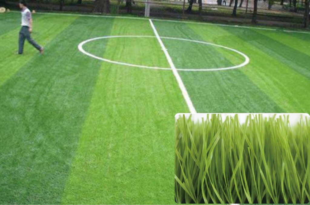 Football Grass Artificial Grass