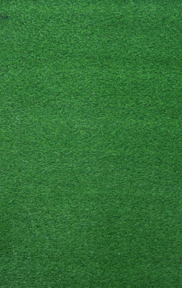 Artificial Turf Grass Synthetic