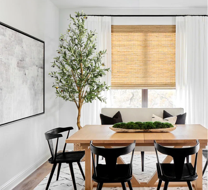 Mediterranean style olive tree