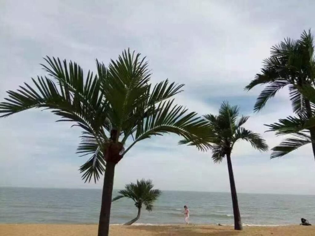 artificial palm tree