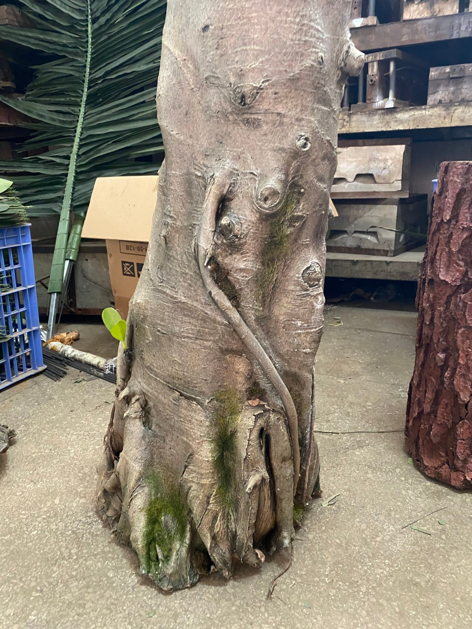 Artificial banyan tree trunk detail