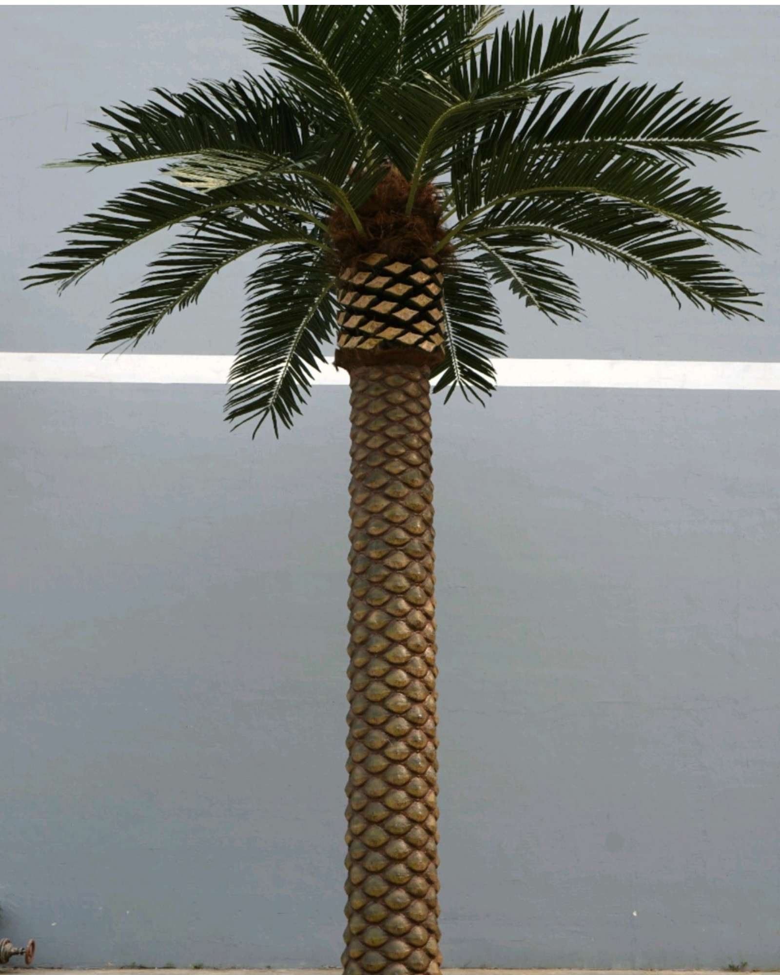 Artificial date palm tree for an outdoor commercial landscape