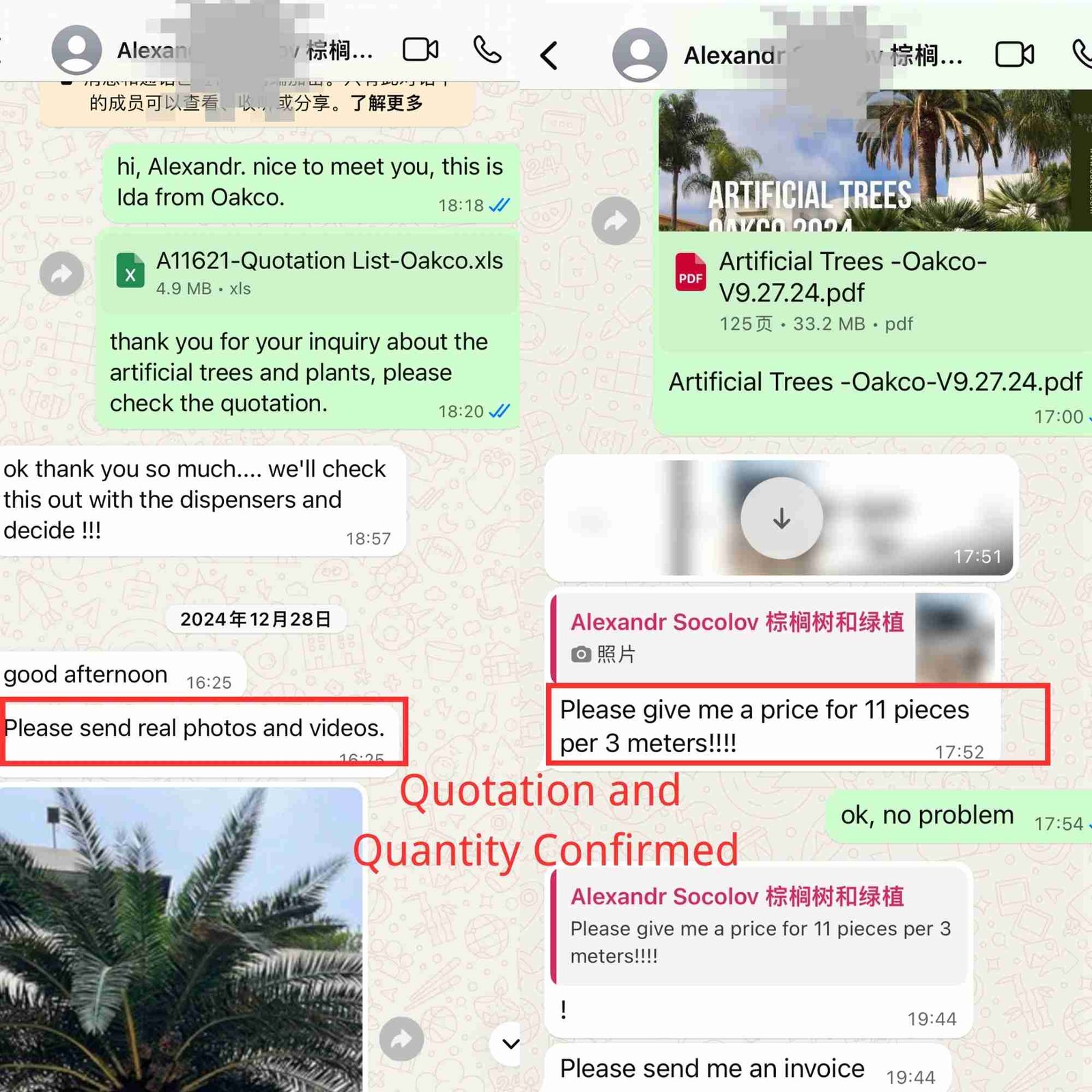 Initial client conversation via WhatsApp