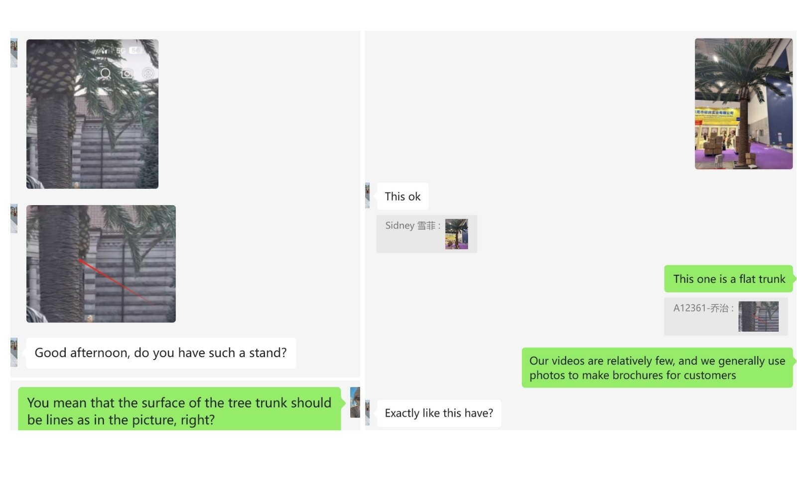 Communicating Palm Tree Specifications with the Client