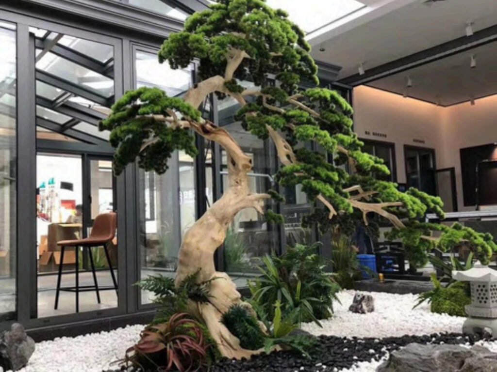 Semi-Cascade(Han-Kengai)