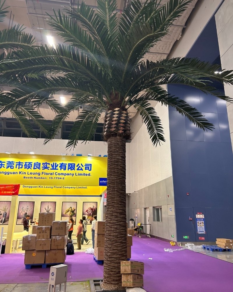flat trunk of plam tree