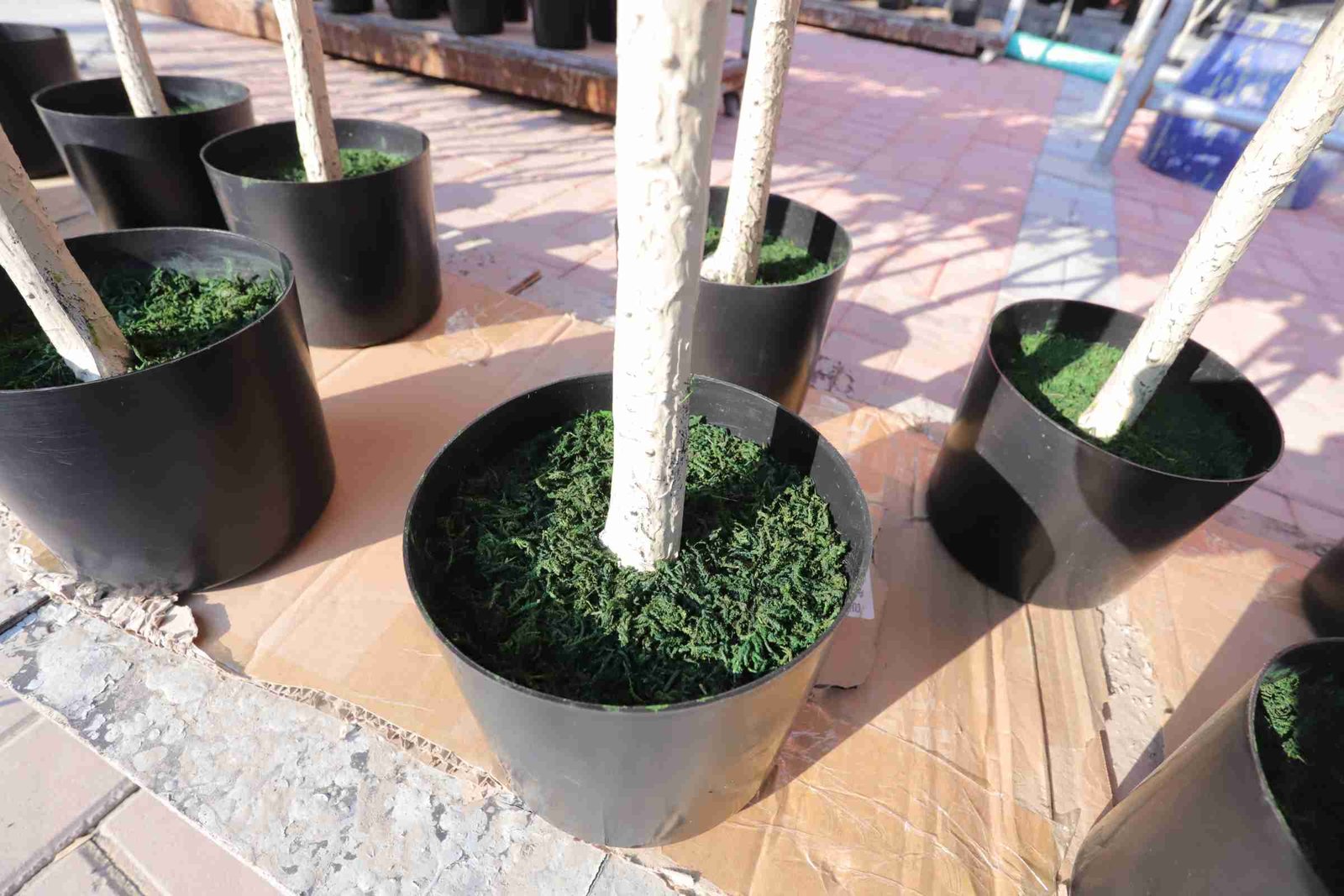 Black plastic base pot for an artificial boxwood tree with decorative moss added inside