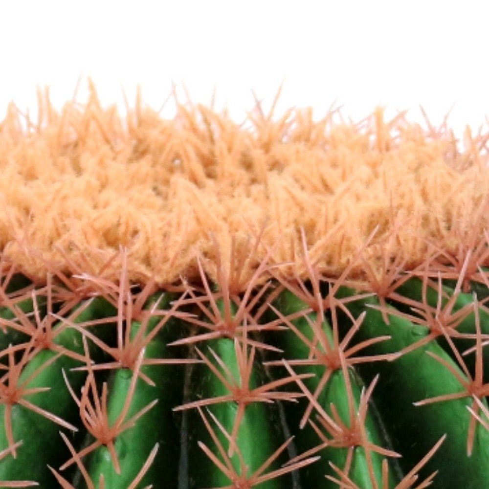Artificial cactus