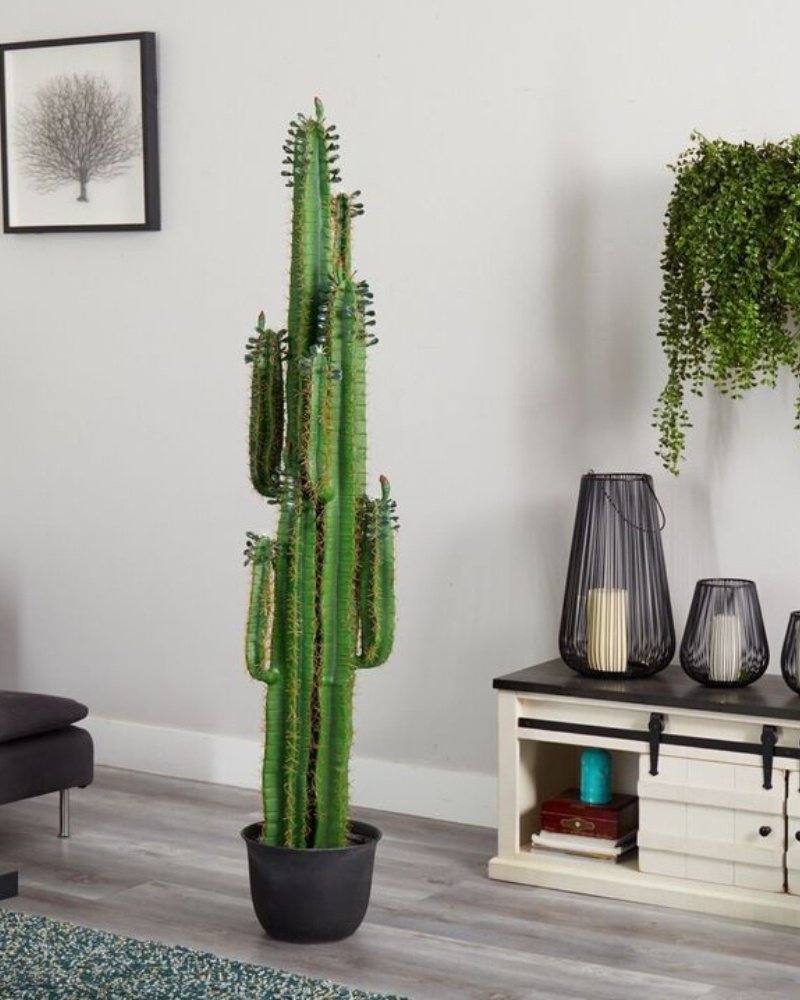 Artificial cactus plant used as modern living room decoration, realistic and low-maintenance