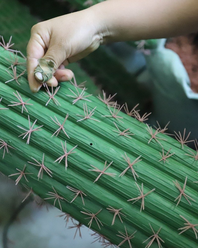 Artificial cactus production (3)