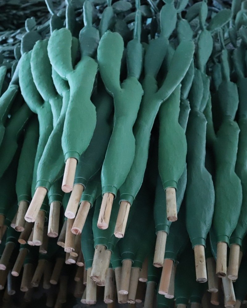 Artificial cactus production