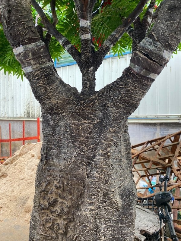 Base of a life-like artificial Royal Poinciana tree, showcasing the textured trunk and a strong, branching structure.