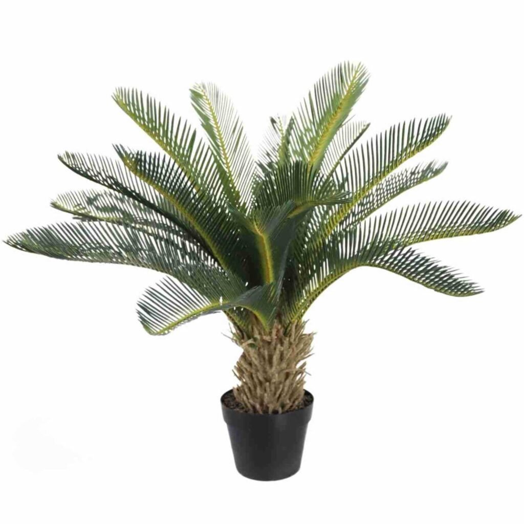Fake Sago Palm Tree