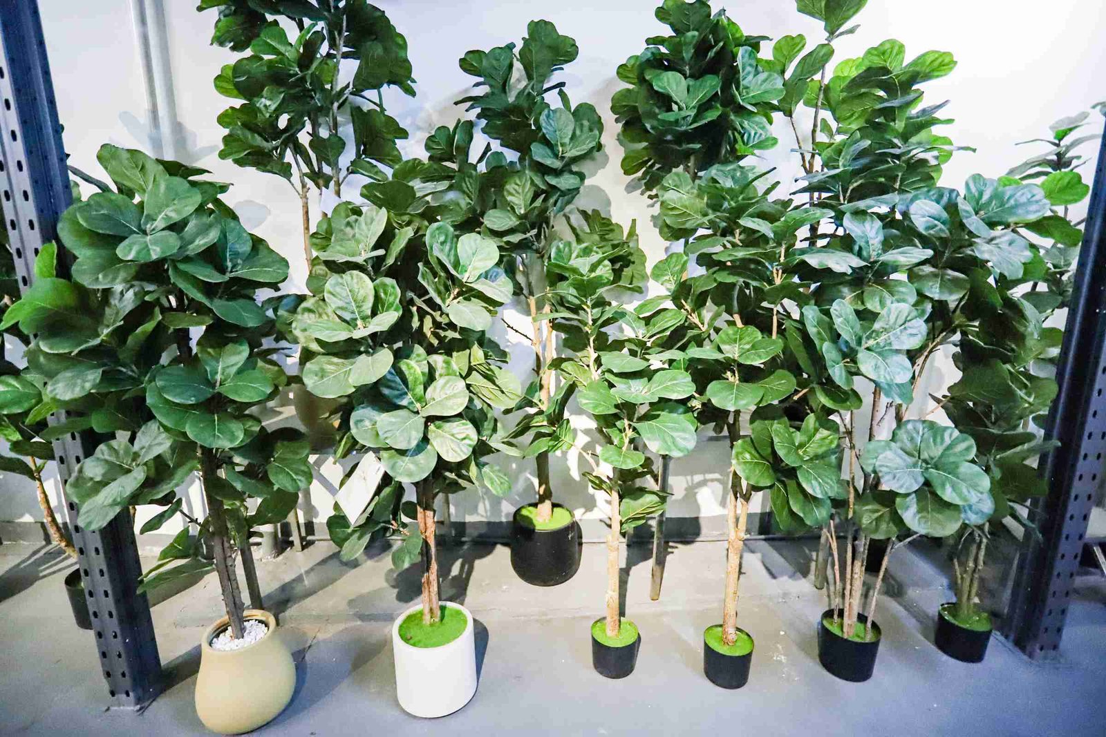 Faux Fiddle Leaf Fig