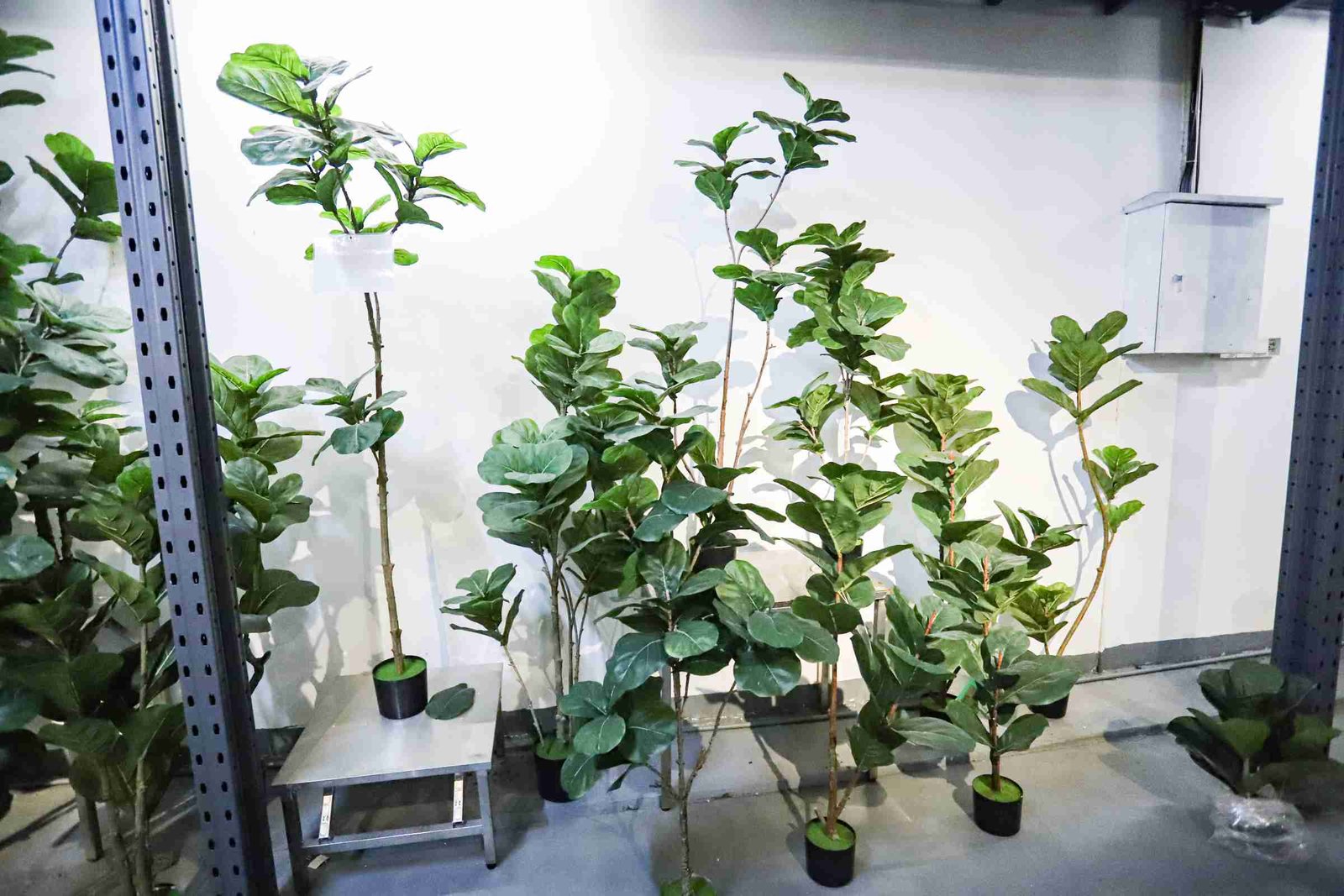 Faux Fiddle Leaf Fig Collection (2)