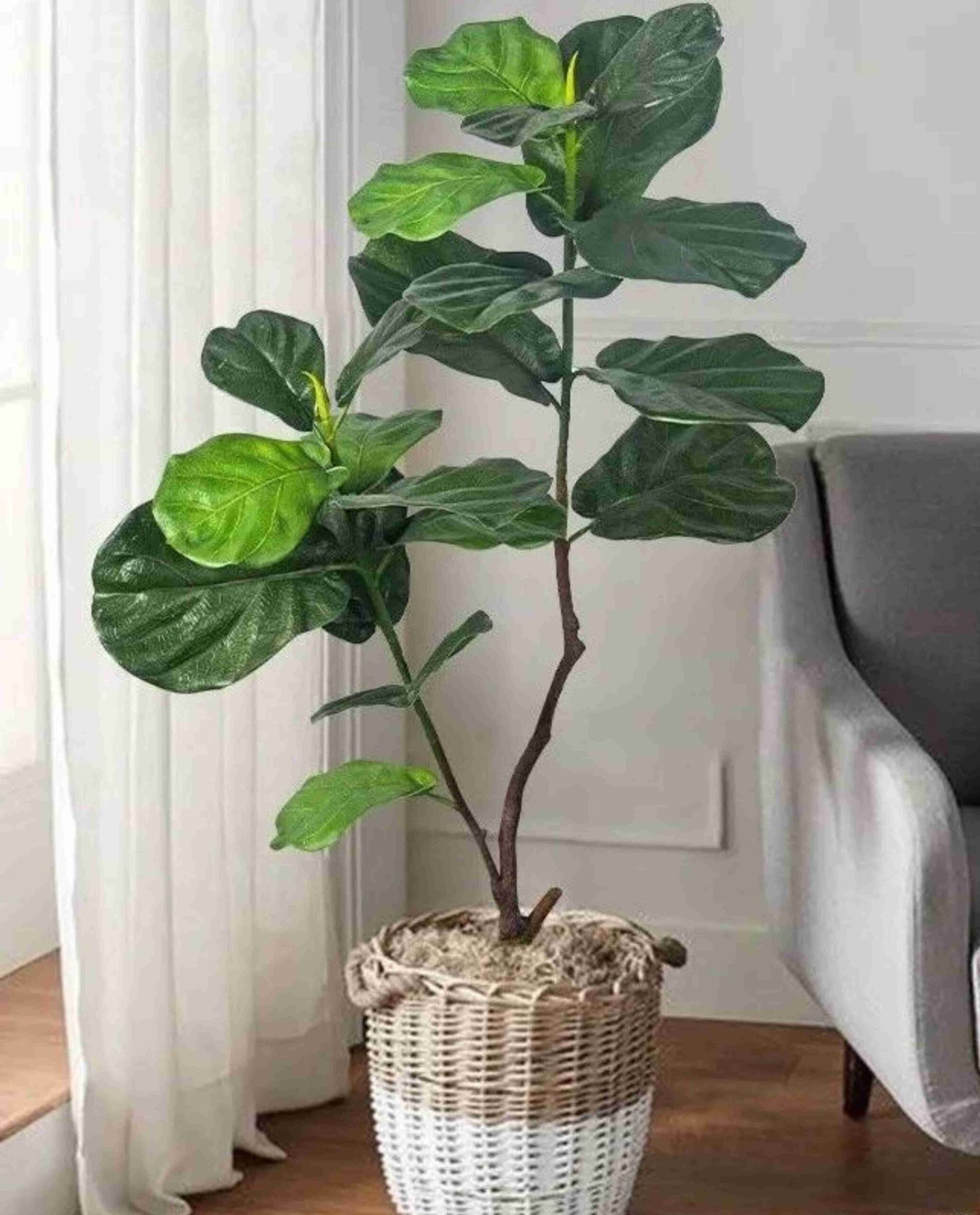 Faux Fiddle Leaf Fig Tree-144 (1)