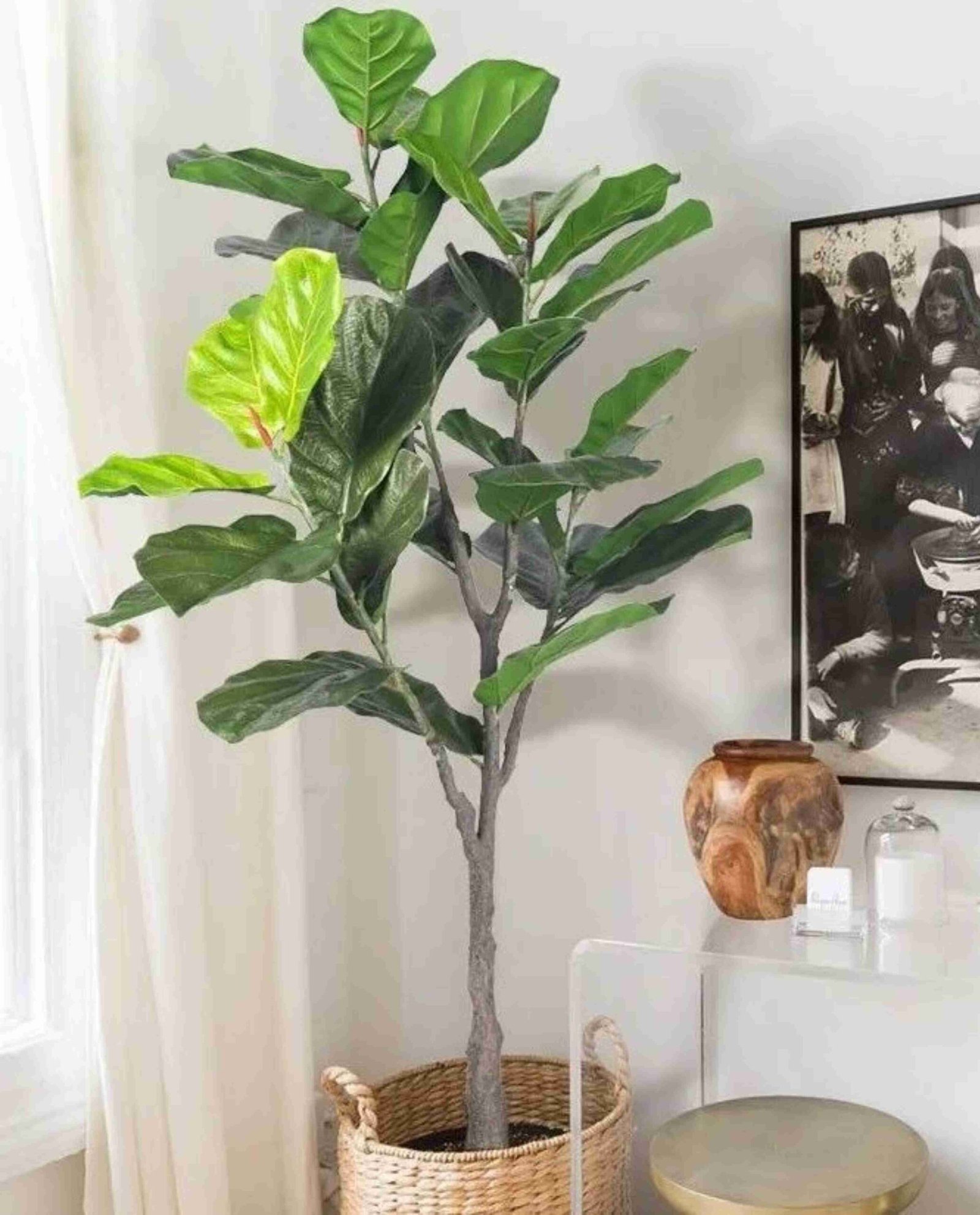 Faux Fiddle Leaf Fig Tree-144 (11)