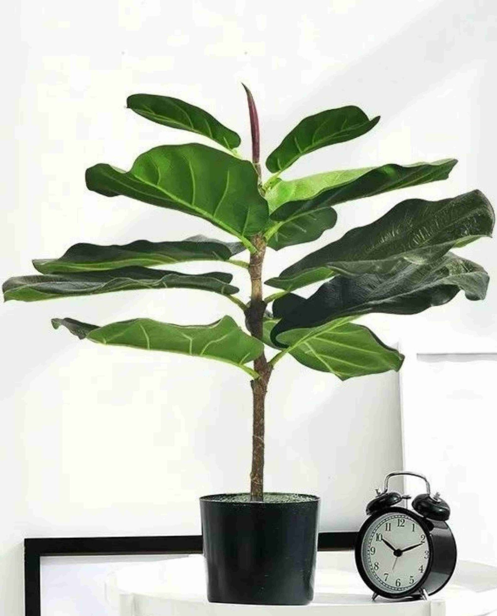 Faux Fiddle Leaf Fig Tree