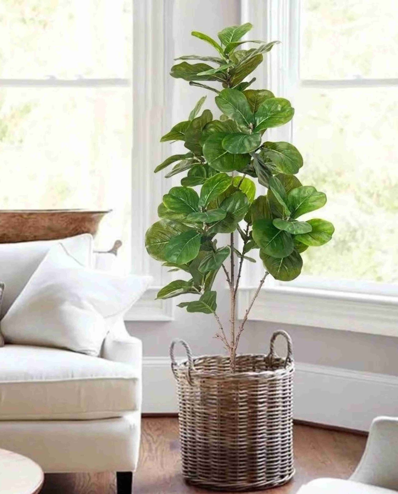 Faux Fiddle Leaf Fig Tree-144 (8)