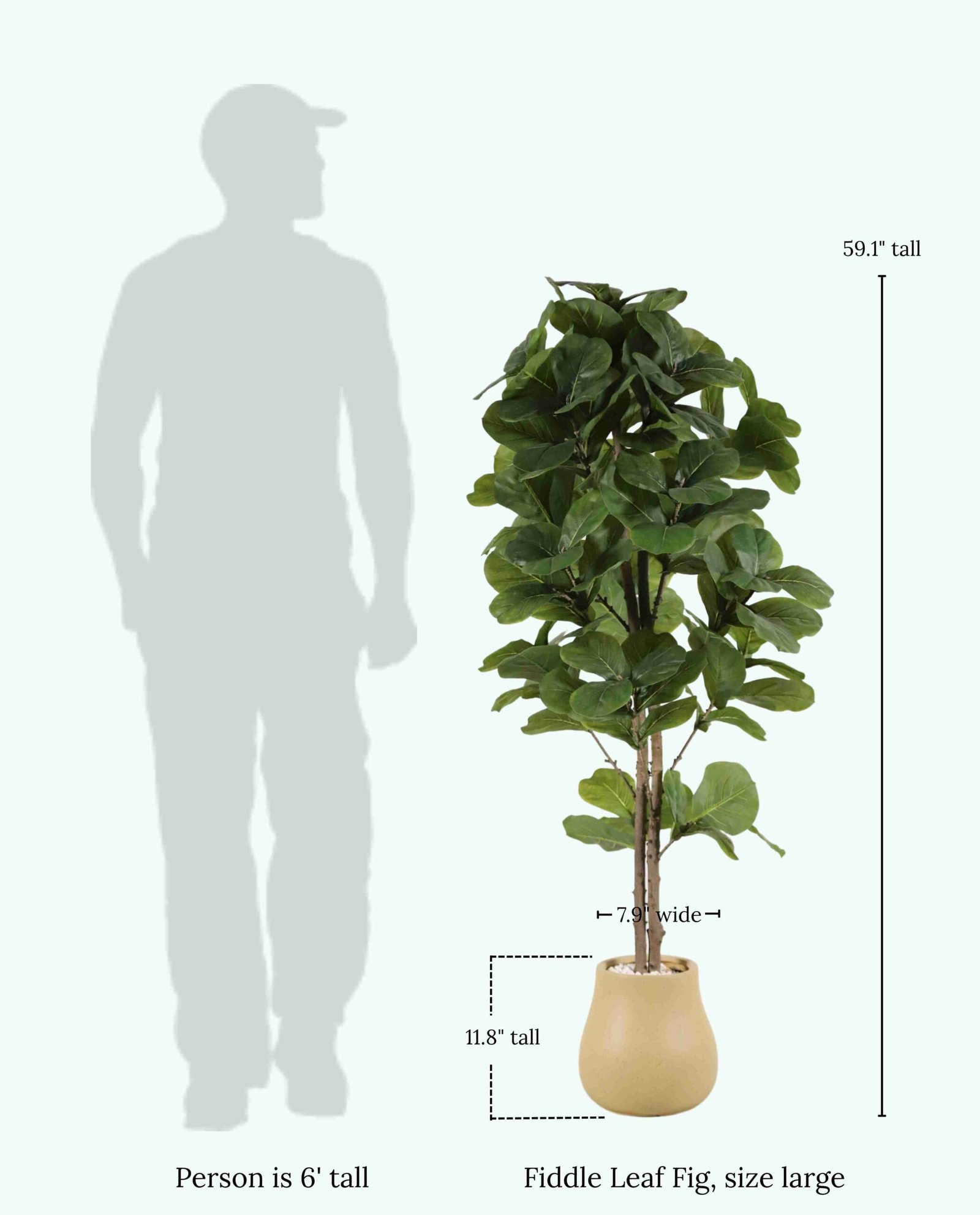 Faux Fiddle Leaf Fig Trees-14425031