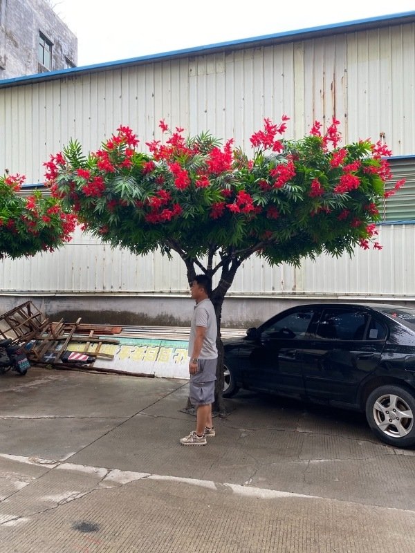 Full view of a grand artificial Royal Poinciana tree, perfect for outdoor landscapes, against a factory backdrop.