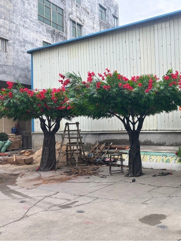 Two large artificial Royal Poinciana trees standing side-by-side, showcasing their majestic size and dense canopies.
