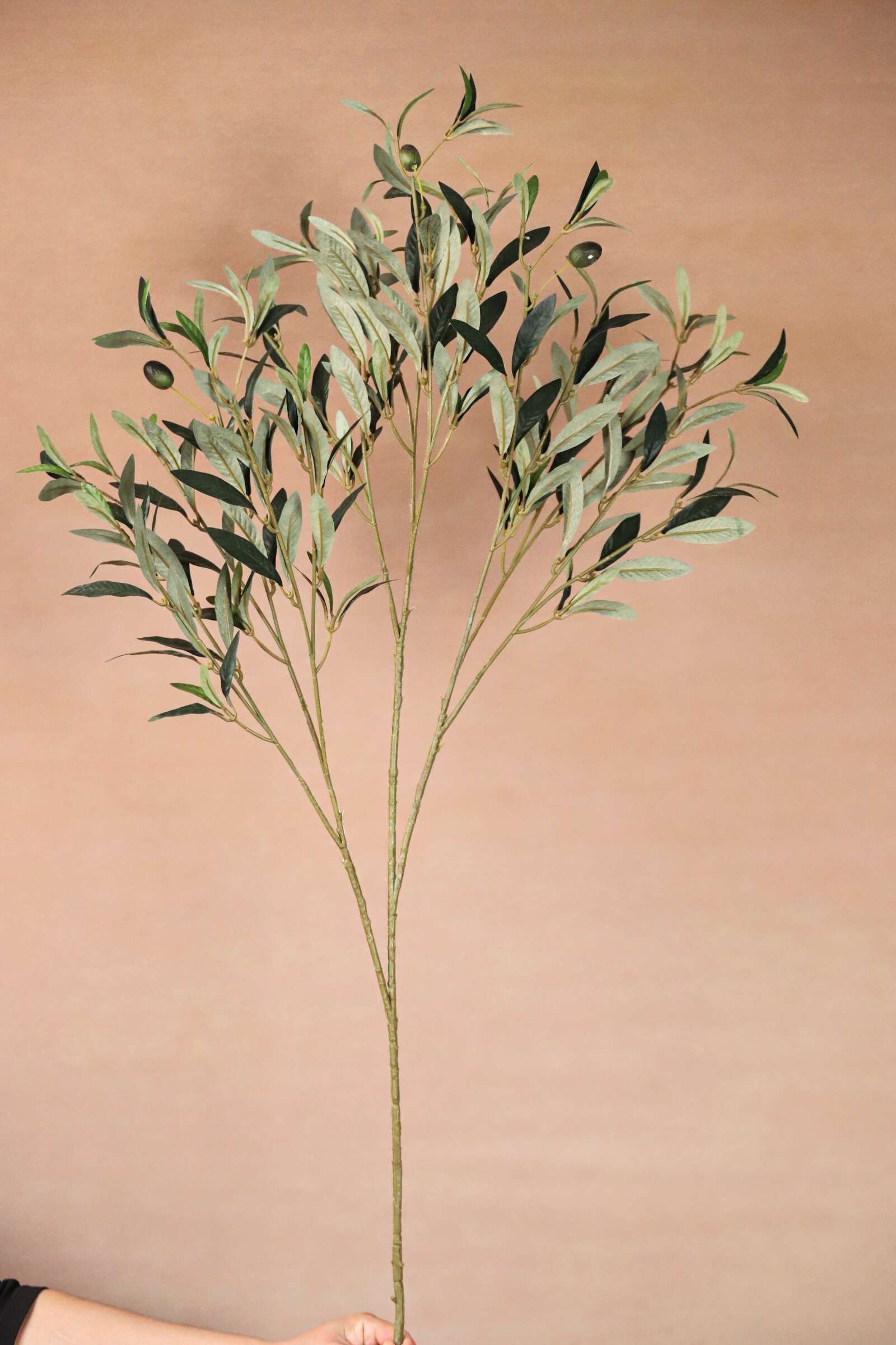 faux Olive branch