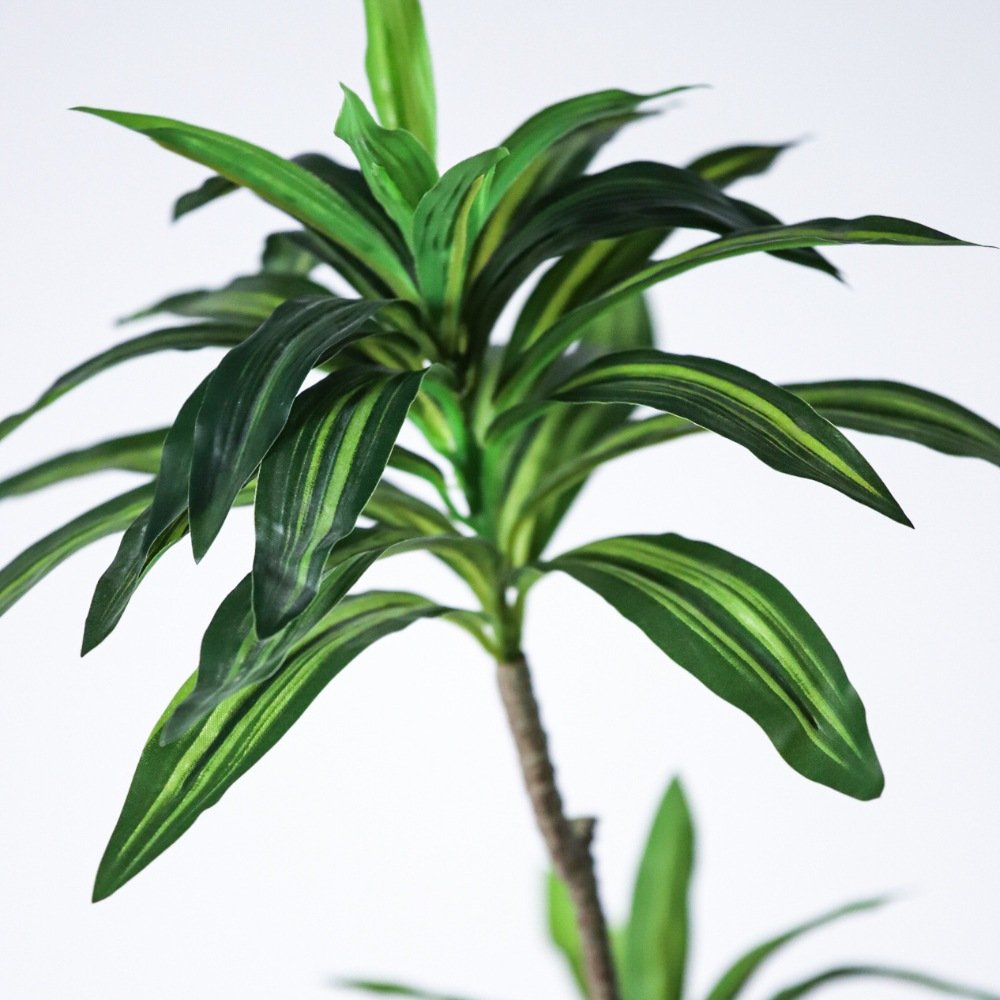 faux dracaena tree