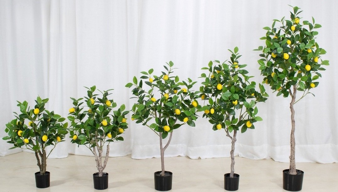 Faux lemon trees for hospitality and commercial interiors
