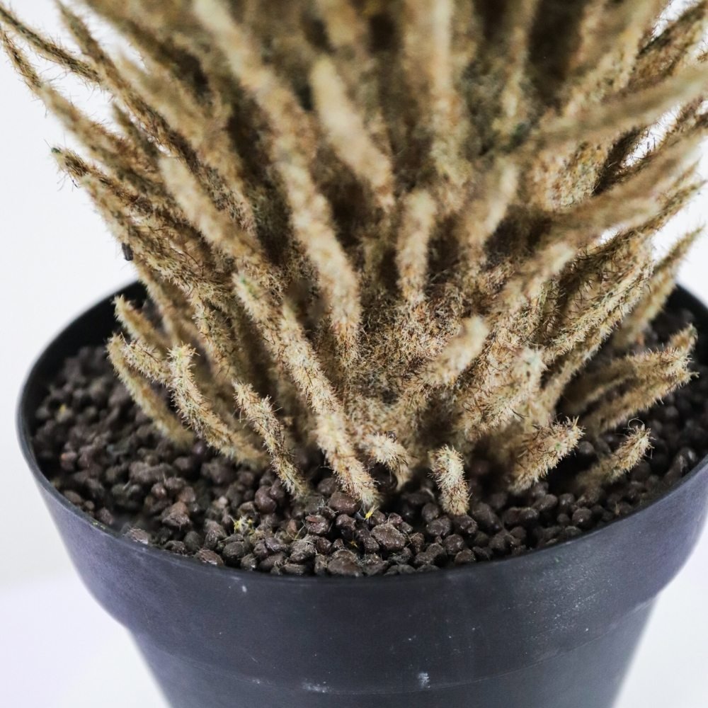 textured trunk and base of a fake sago palm tree in a black pot