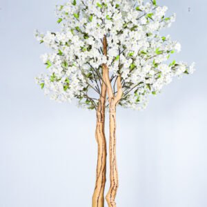 Full view of a realistic white cherry blossom tree with a twisting trunk in a modern white pot.