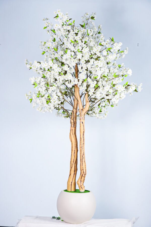 Full view of a realistic white cherry blossom tree with a twisting trunk in a modern white pot.