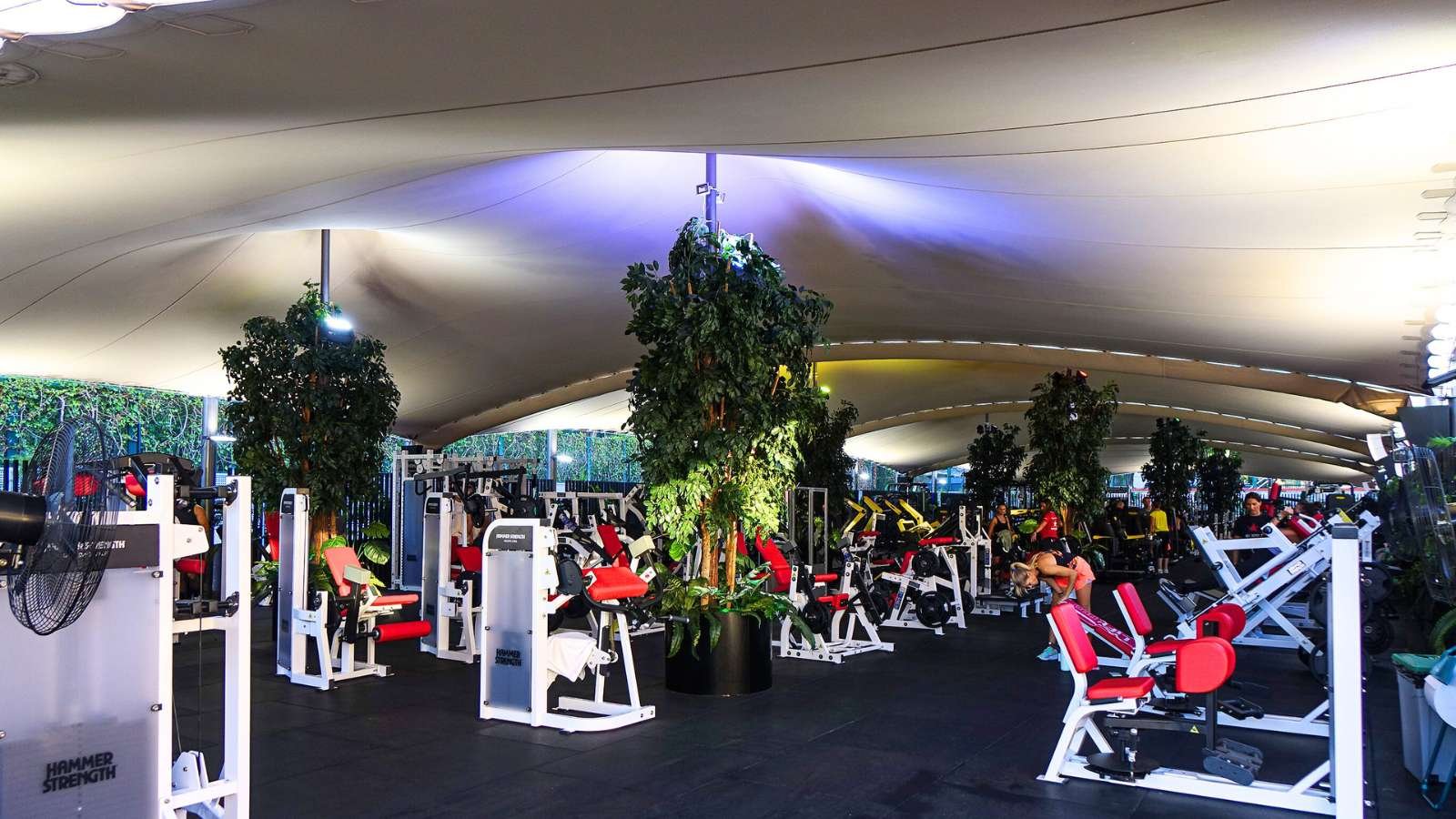 A close-up of the gym area, focusing on the equipment, the black flooring, and the lush greenery of the artificial Ficus, emphasizing the luxurious and comfortable training atmosphere.