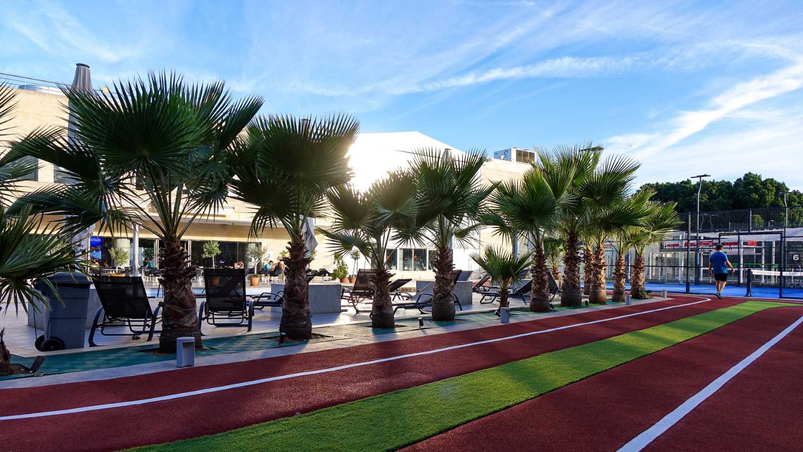 A side view of the sports complex showing the line of palm trees creating shade and visual appeal along the red track, highlighting the leisure aspect of the area.