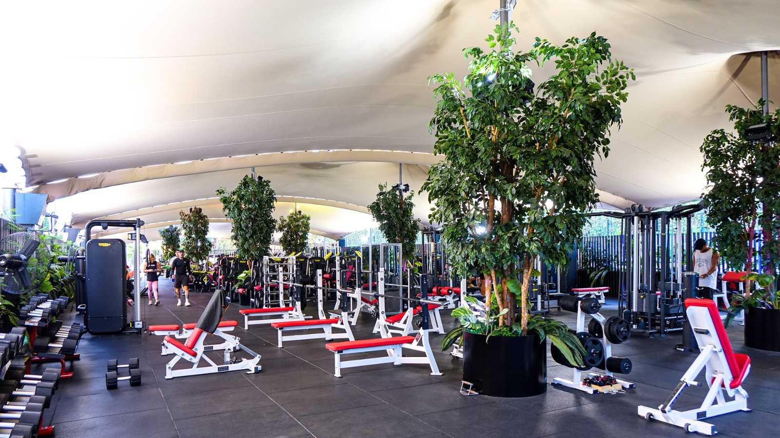 The first image provided by the user, showing the indoor restaurant with palm trees, is used here as a placeholder for a second image in the series to reinforce large-scale indoor project capability.