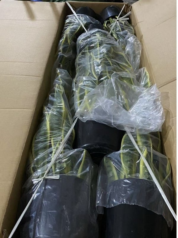 Safe packaging for artificial snake plants in export-ready carton box, cost-saving design for shipping