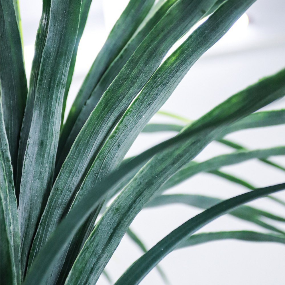 artificial Dracaena