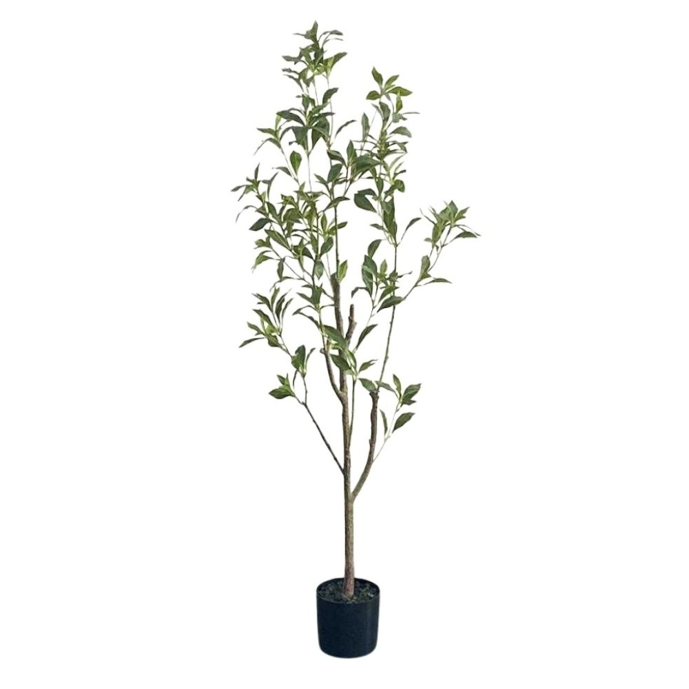 artificial Pieris