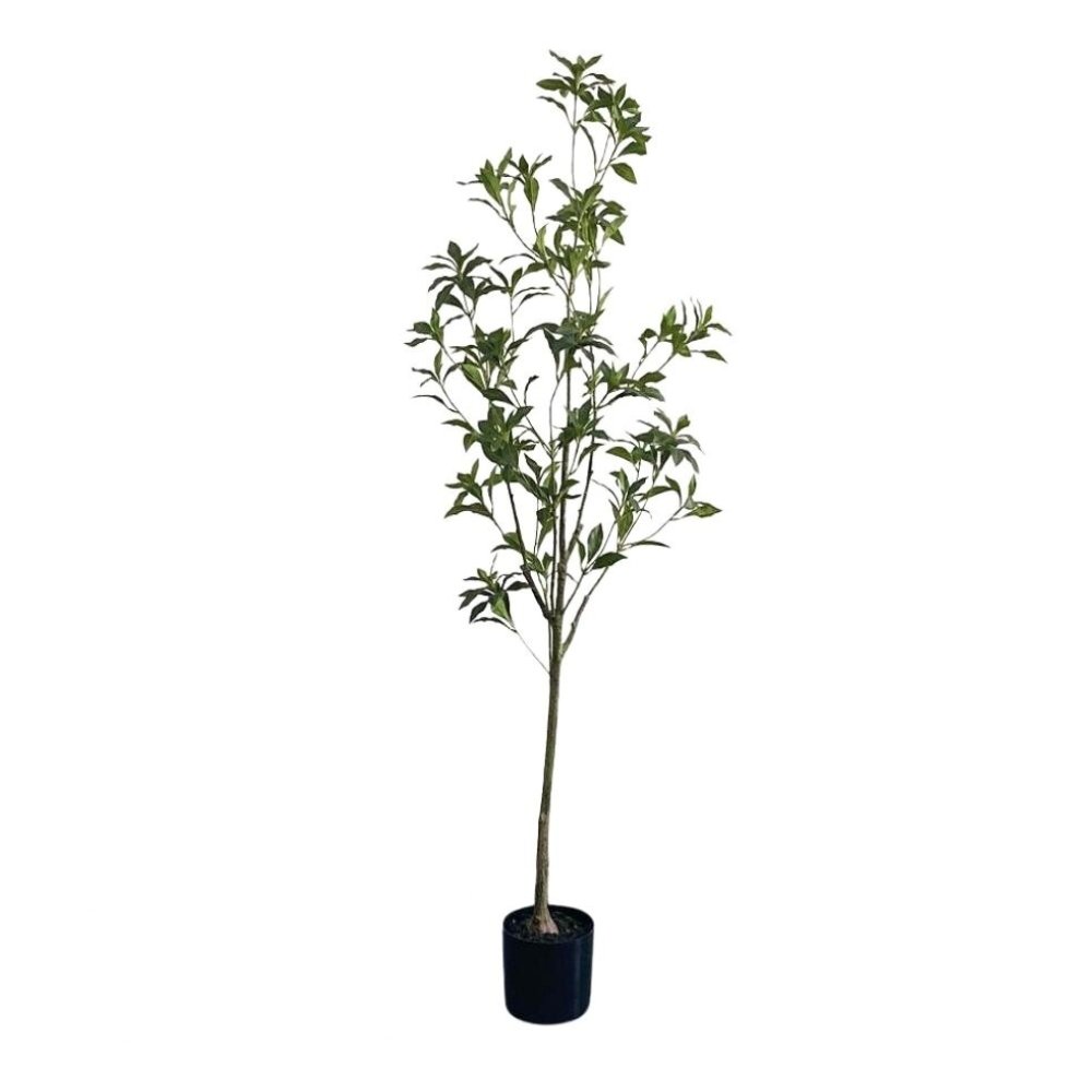 artificial Pieris