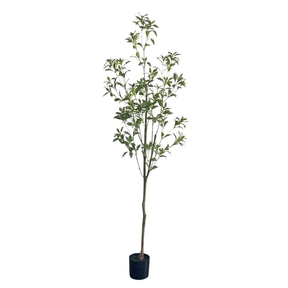 artificial Pieris
