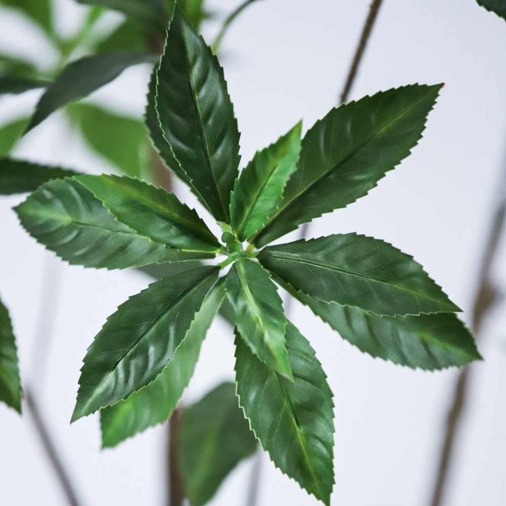 artificial Pieris-