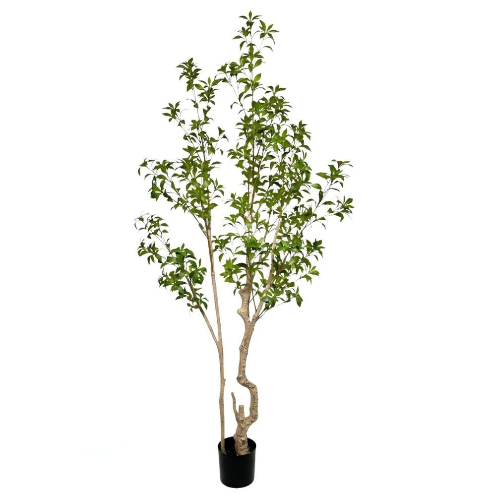 artificial Pieris